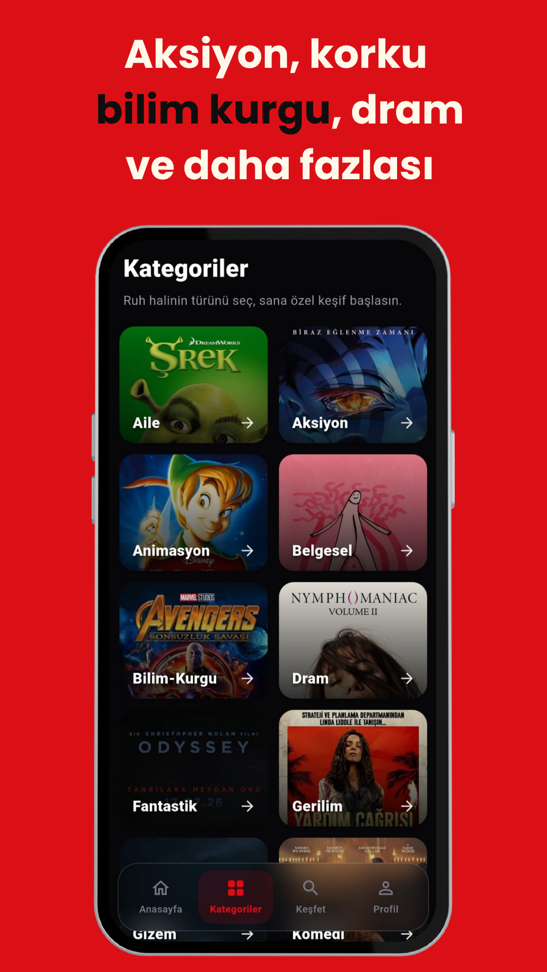 Flixmind dizi ve sezon görünümü